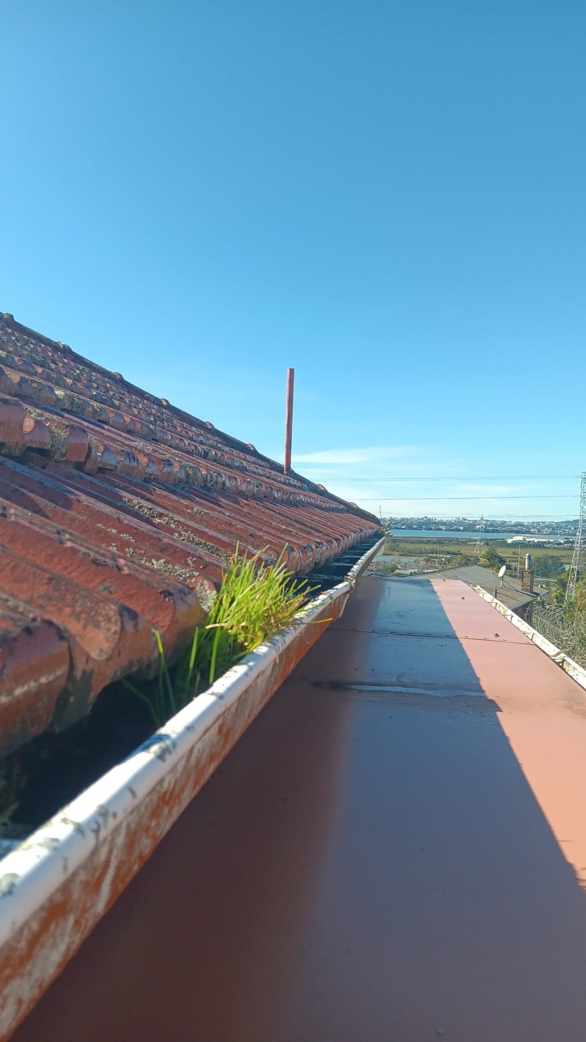 Tile roof with clogged gutters and weeds